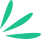 shape61